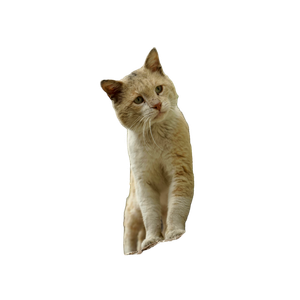 A Curious Cat Perched On A Stone Ledge In An Urban Setting, Exploring Its Surroundings. 16740 - Cat PNG image with transparent background
